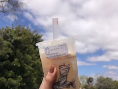 冰激凌红茶-Wushiland Boba