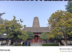 -法门文化景区