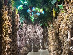 -新疆国际大巴扎