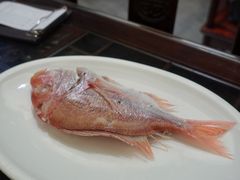 -吴记富苑(朝阳店)