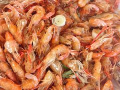 -丹水桥地锅鱼·翘嘴鲌·地方特色全鱼宴(丹江口大坝店)