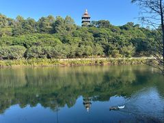 -道合堂·中式按摩·spa(民治店)