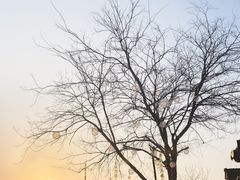-东关街美食广场