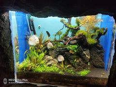 -多彩贵州城极地海洋世界