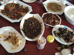 -品雅轩农家乐