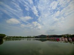 -上海长兴岛郊野公园