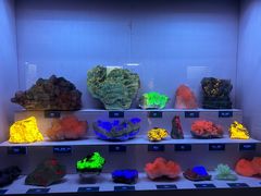 -湖南省地质博物馆