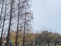 -月湖风景区