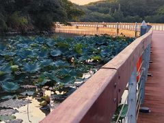 -东钱湖旅游度假区