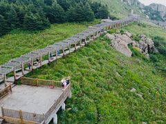 -白草畔自然风景区