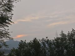 -金海湾滨江公园