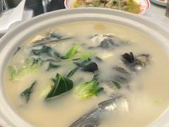 -张鸟园农家乐(张鸟园店)