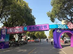 -高东镇樱花园