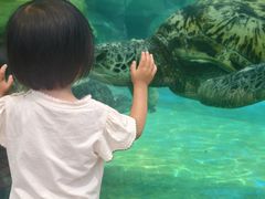-海合安成都极地海洋公园