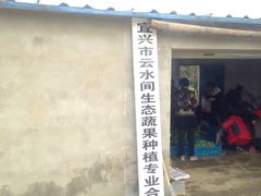 -军山湖云水间生态农业旅游景区