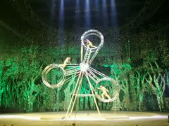 android_upload_pic-灵玲国际马戏城