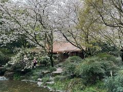 -中国茶叶博物馆(双峰馆区)