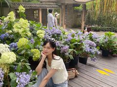 -广西壮族自治区药用植物园