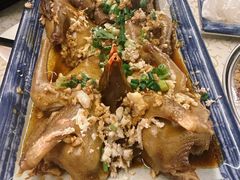 -百利鸽王(紫薇路店)