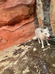 -Zoolung Zoolung动物主题公园(海信广场店)