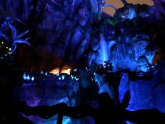 -奥兰多迪士尼动物王国乐园