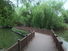 -长兴太湖图影湿地文化园
