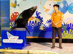 -太平洋海底世界