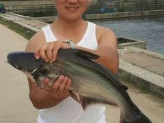 android_upload_pic-特种渔场