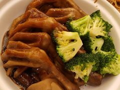 鹅掌-南京东郊国宾馆