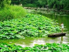 -紫竹院公园冰场