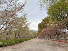 -诺贝尔湖公园