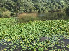 -天目湖山水园