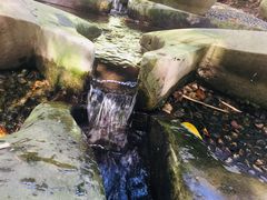 -成都市活水公园