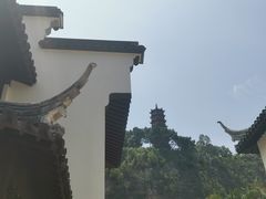 -南沙蒲洲花园