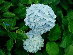 -艾溪湖湿地公园