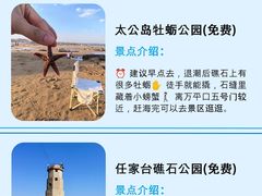 -日照灯塔风景区