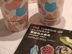 -兰熊鲜奶(西直门凯德mall店)