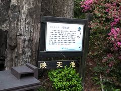 -宁海森林温泉