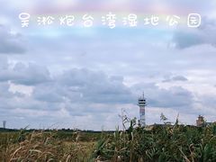 -上海吴淞炮台湾国家湿地公园