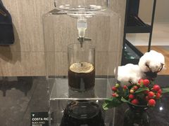 店内布置-Seesaw Coffee(环贸iapm店)