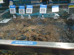 -盒马鲜生(大成店)