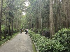 -冶父山国家森林公园