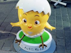 -鑫龙福麻辣烫(明洞站店)