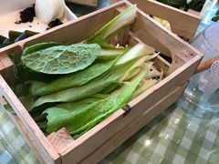-番食园鲜食火锅(高新店)