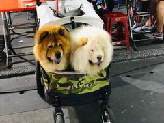 -花莲东大门国际观光夜市