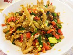 鸭掌筋-壹盏灯(蚂蚁工房店)