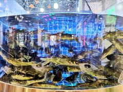 -蛙一刀·麻椒鱼火锅(金仙桥店)
