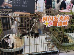 -万达广场(北京槐房店)