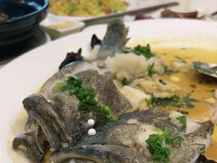 -东国海鲜火锅城(氹仔店)