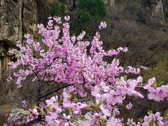 -大平台龙居瀑布旅游区